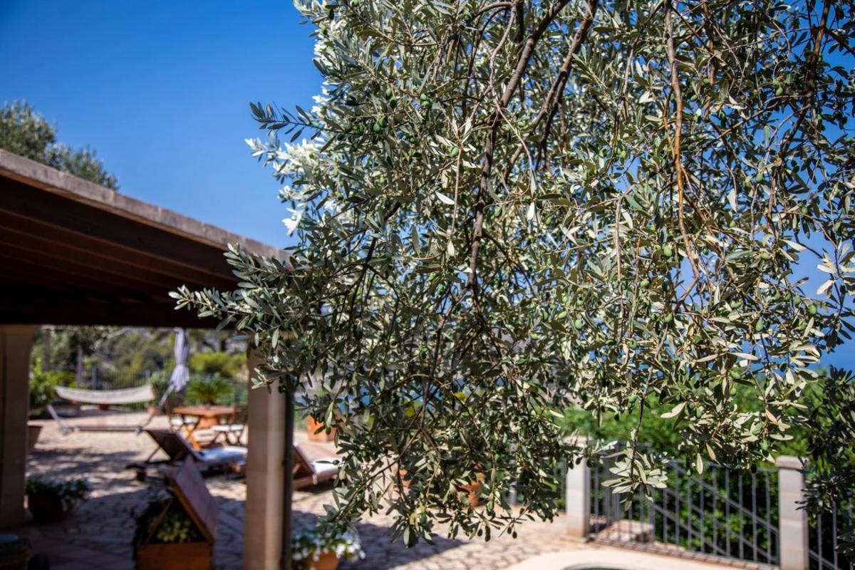 Finca Rural Es Pujol Sóller Εξωτερικό φωτογραφία
